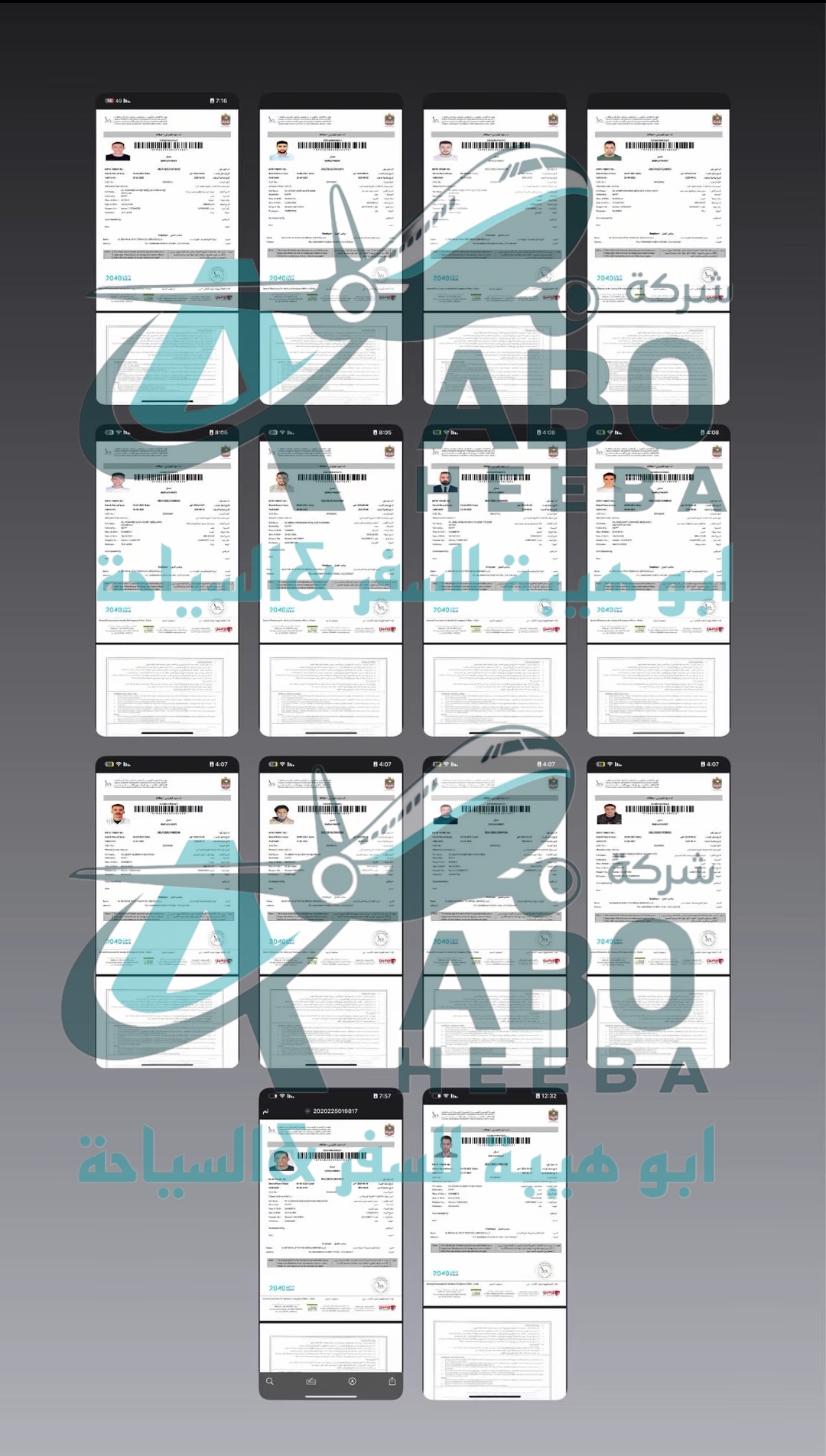 عن الشركة